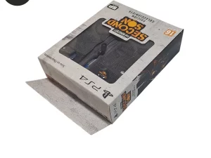InFamous Second Son PS4