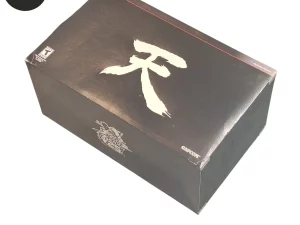 Street Fighter 25th Anniversary PS3