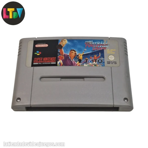 Euro Football Champ SNES