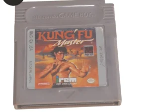 Kung Fu Master Game Boy